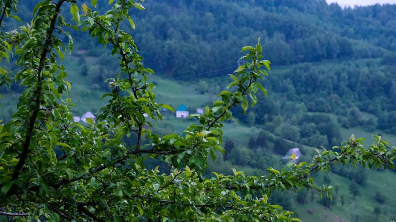 Fern Farm Eco Resort Mojkovac Exterior foto